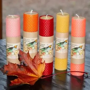 Five beeswax taper candles in pink, orange, red, yellow, and coral from “The Songbird and The Bee,” displayed on a dark wood surface with autumn leaves in front.
